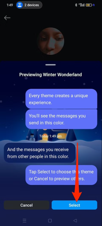 selected your desired theme, tap Apply to set it for your chat.
